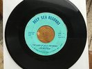 Rare45 RPM Len Boatman