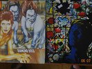 David Bowie  Konvolut  20 LP / DLP