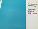 THE DREAM SYNDICATE-The days of wine and roses  punk '82 original Ruby Records