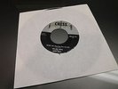 Chuck Berry - School Day / Wee Wee Hours / Brown  - CHESS EP # 5118