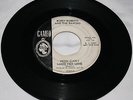 Rare Rockabilly/ Bobby Roberts And The Ravons/