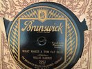 Bruns 7092 Willie Harris WHAT MAKES A TOM CAT BLUE 1929   E+ 78 rpm