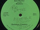Bob Marley & The Wailers - Rainbow Country US Disco 12