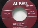 Rare Doo Wop 45 Love Lords Burning Love Simmer Fast Al King 11021 Scarce Record