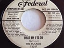 Rare Doo Wop 45 the Rockers what am I to do / die in love OG Federal DJ