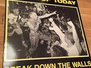 Youth of Today Break Down The Walls Record Vinyl LP Wishingwell Records 1986