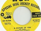 The Elgins - MGM 12670 (DJ) A Picture Of You / Mademoiselle ( Great Doo Wop )