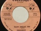 STRINGBEAN Train Special 500/Barn Yard Banjo 45 Cullman bluegrass rocker hear