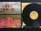The Hush Sound - Goodbye Blues - Vinyl LP - Fueled By Ramen / Decaydance