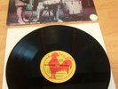 THE SHAGGS LP PHILOSOPHY OF THE WORLD 1980 RED ROOSTER GARAGE PUNK SONIC YOUTH