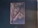 Mournful Congregation Weeping DLP thergethon Stabat Mater disembowelment