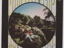 The Grateful Dead 