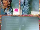 Madonna Ray of Light Lp Jap Edition