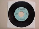 SHADES OF BLUE: The Time Of My Life-Turn Turn Turn-U.S. 7