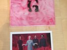 Garbage Self Titled 20th Anniversary Deluxe 3LP Boxset 3D Cover + Signed Photo