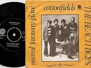 THE BEACH BOYS COTTONFIELDS & FARAWAY DANISH 45+PS 1970 SURF BEAT BRIAN WILSON