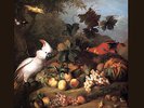 Procol Harum - Exotic Birds & Fruit [Vinyl New]