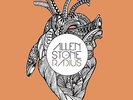 ALLEN STONE RADIUS LP VINYL NEW 33RPM