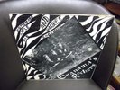 Grandma's Rockers Homemade Apple Pie vinyl LP Fredlo VG+ garage psych