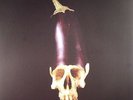 GENSU DEAN/DENMARK VESSEY - Whole Food - Vinyl (LP + MP3 download code)