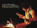 Jimi Hendrix Experience, The-Live At Monterey  (US IMPORT)  VINYL LP NEW