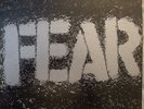 FEAR The Record 1 ORIG 12