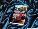 Outside Love - Pink Mountaintops (2009, Vinyl NEW)
