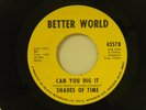 Shades Of Time 45 CAN YOU DIG IT / POVERTY   Better World M- soul
