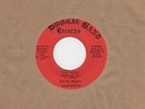 Larry McGee Revolution - The Burg / Happy Bicentennial USA - Boogie Band - North