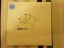 DAMIEN RICE -7