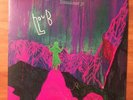 SIGNED Dinosaur Jr. Give A Glimpse Of What Yer Not Limited Ed. Purple Vinyl LP