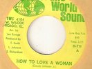 THE MANDELLS How To Love A Woman TRANS WORLD CHICAGO  NORTHERN SOUL 45