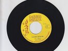 ARAB/ PLEASE OFFICER  -  EARL ZERO   (75 REGGAE ROOTS 7