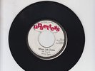 UPSETTER/ WHEN JAH COME  -  DEVON IRONS  (76  REGGAE ROOTS 7
