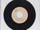 BLANK/ YOU GONNA LOSE ME  -  UNKNOWN  ( 69 SKINHEAD 7