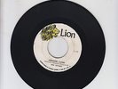 LION/ PROMISE LAND  -  THE MINORS  ( 71  REGGAE ROOTS 7