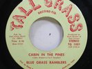 Hear Bluegrass 45 Blue Grass Ramblers - Cabin In The Pines / Kickin' Mule On Ta