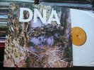 DNA 12