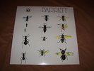 SYD BARRETT LP vinyl  NEW mint and sealed Harvest Pink Floyd