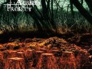 The Aurora Project - A Night To Remember                     (Freia Music) (neu)