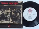 Radio Birdman - Burn My Eye 7