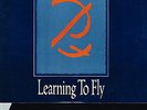 PINK FLOYD - LEARNING TO FLY (CAS02775) US PROMO 12