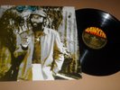 DESI ROOTS 'DOING IT RIGHT' HLP 007 HAWKEYE RECORDS 1980 UK ISSUE STEREO