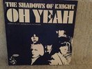 THE SHADOWS OF KNIGHT 1966 Garage EX Pic Sleeve ONLY