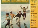 Introducing The Beau Brummels - Mint VInyl LP