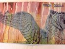 AMON DUUL II - WOLF CITY / GATEFOLD /  / I972 UNITED ARTISTS  / GERMANY / VG++