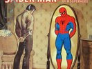 SPIDERMAN ROCK REFLECTIONS SUPER HERO STAN LEE LIFESONG RECORDS VINYL NEAR MINT