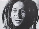 Bob Marley & The Wailers - Kaya Vinyl LP NEU 0650107