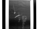 SCOTT WALKER+Tilt+POSTER+AD+RARE ORIGINAL 1995+QUALITY FRAMED+FAST GLOBAL SHIP