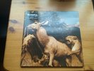 Interpol - Our Love To Admire Vinyl LP Record